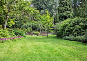 Optimiser l'expérience du jardin à Bouffemont